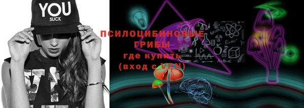 PSILOCYBIN Бородино